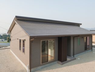 {{brizy_dc_image_alt entityId=