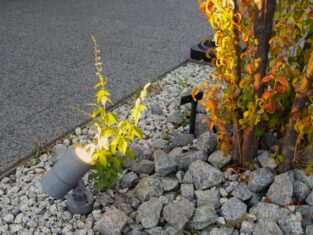 {{brizy_dc_image_alt entityId=